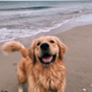 Meet your Posher, Claire